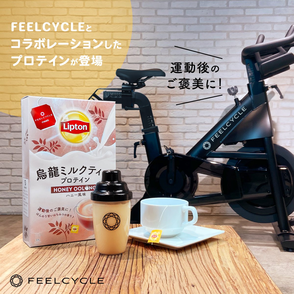 FEELCYCLE プロテイン リプトン アッサムミルクティー